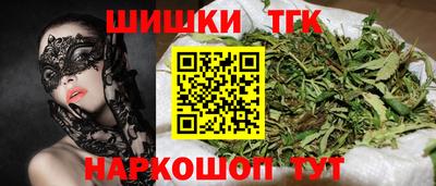 МДПВ Камышлов