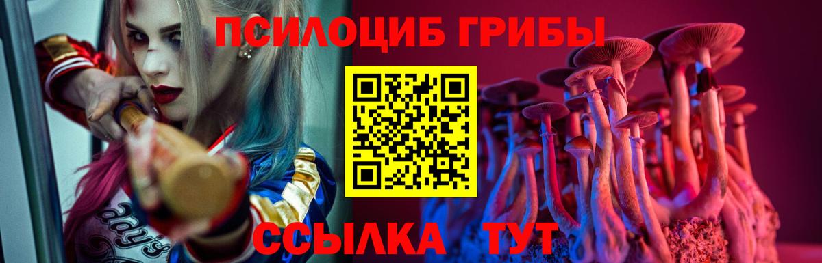 Псилоцибиновые грибы GOLDEN TEACHER  Вход с VPN  Уварово  купить закладку  Псилоцибиновые грибы MAGIC MUSHROOMS 